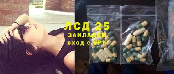гашик Алексин