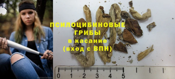 гашик Алексин