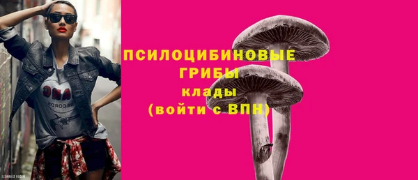 молекула духа Алзамай