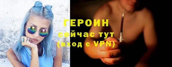 гашик Алексин