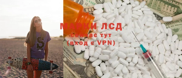 гашик Алексин