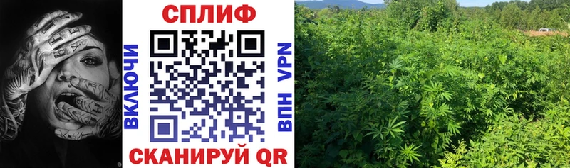 Бошки Шишки VHQ  кракен ССЫЛКА  Кизел  купить закладку 